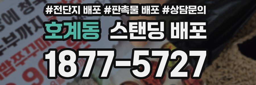 호계동 스탠딩 배포