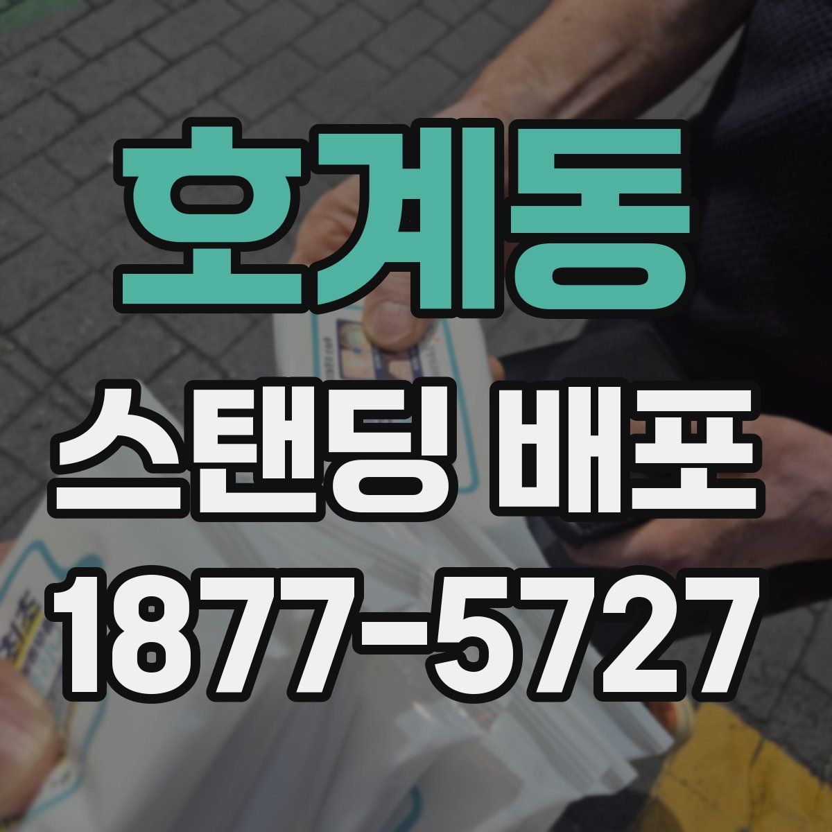 호계동 스탠딩 배포