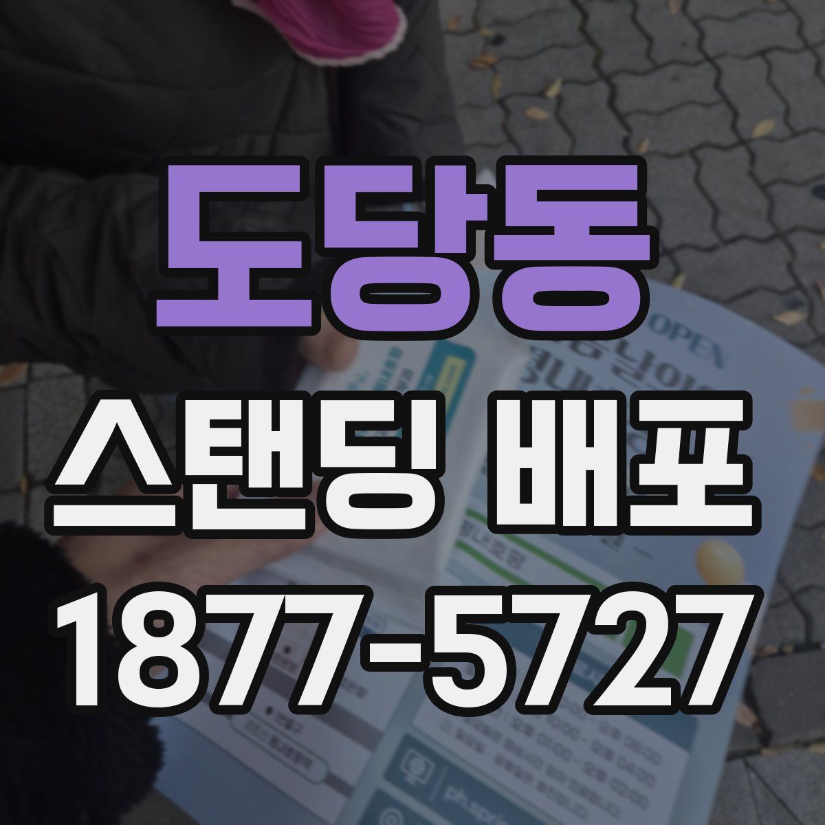 도당동 스탠딩 배포
