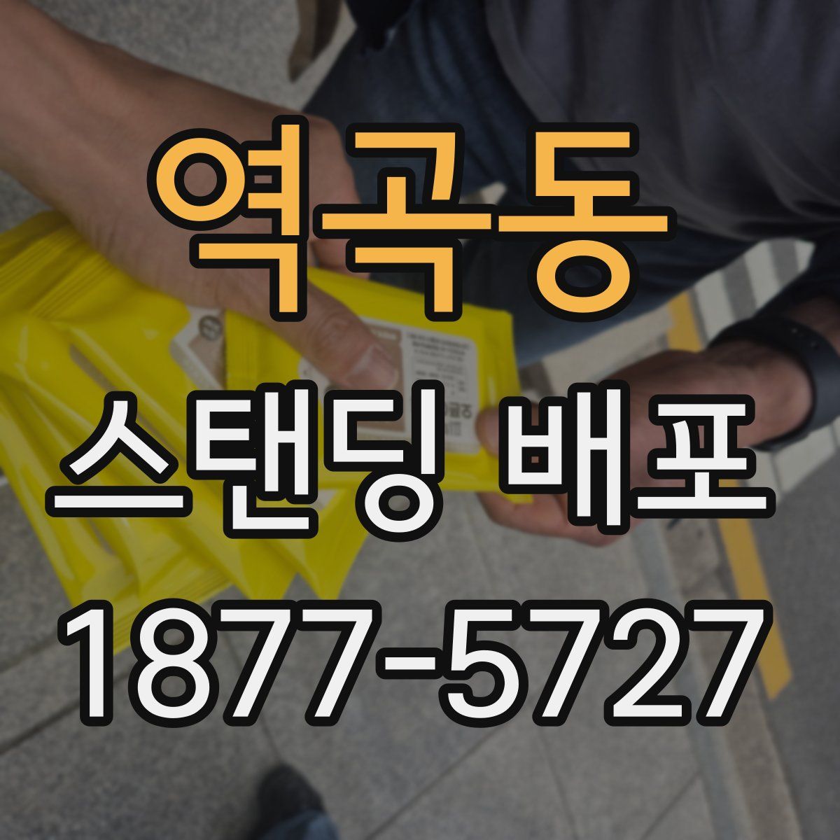 역곡동 스탠딩 배포
