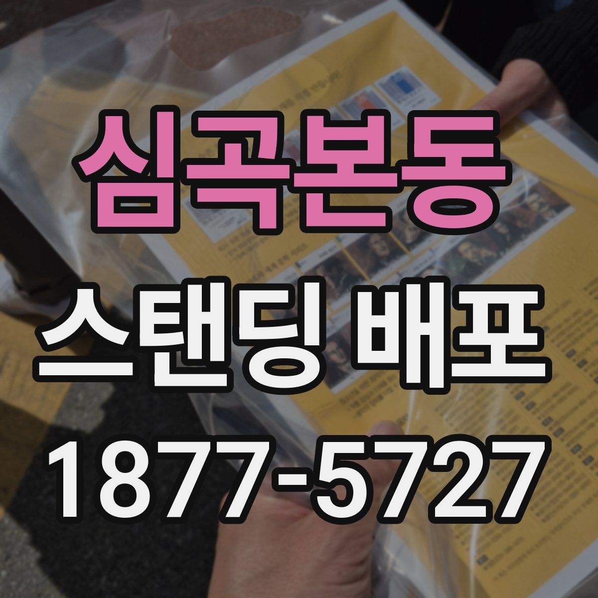 심곡본동 스탠딩 배포