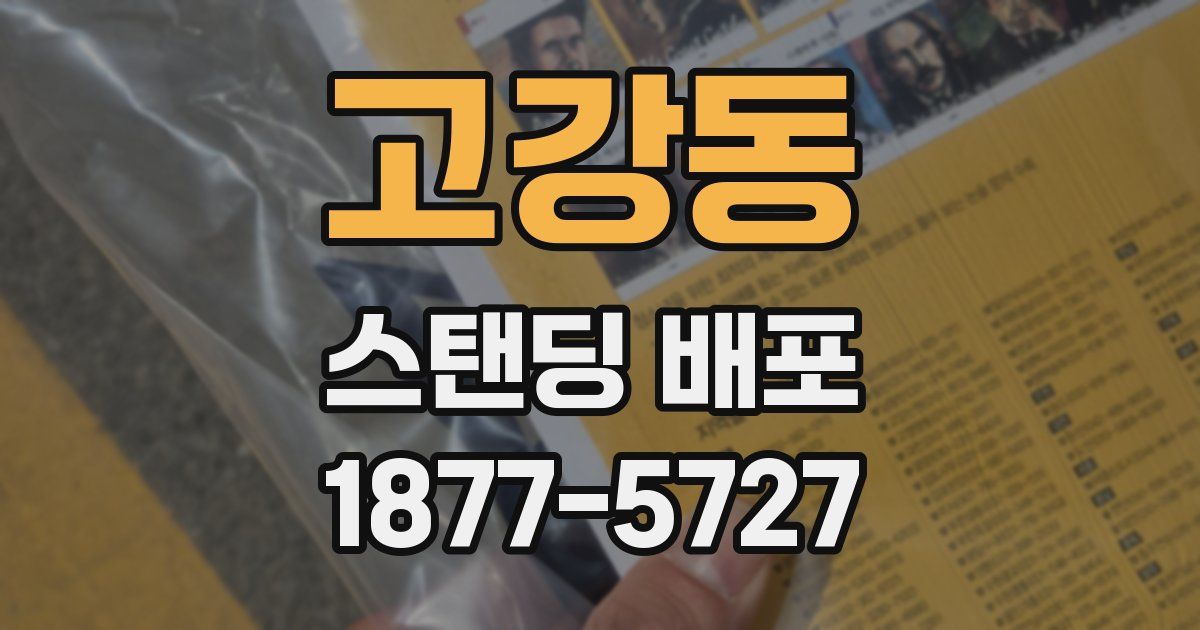 고강동 스탠딩 배포