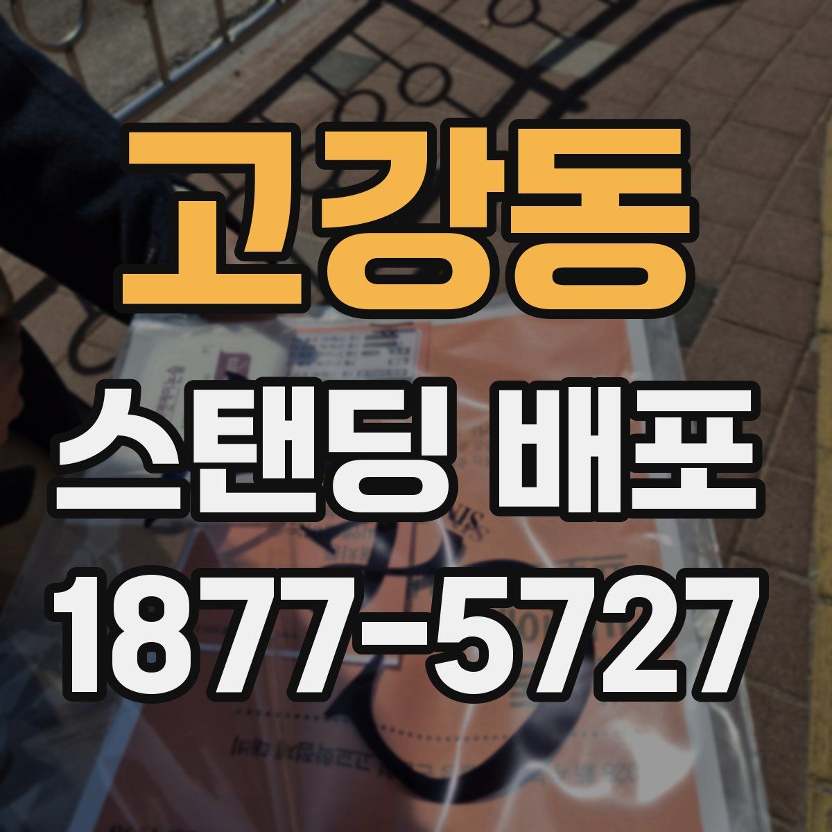 고강동 스탠딩 배포