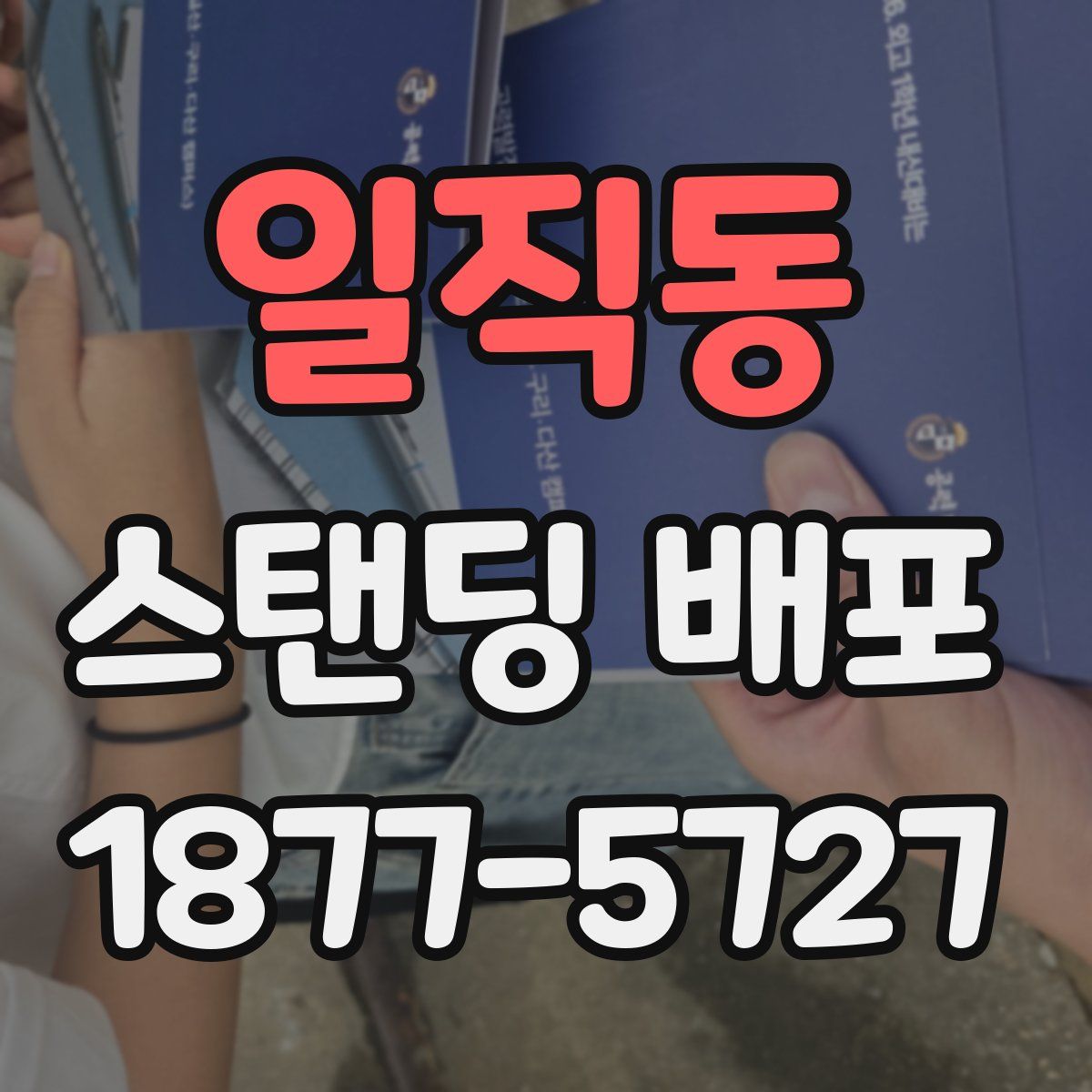 일직동 스탠딩 배포