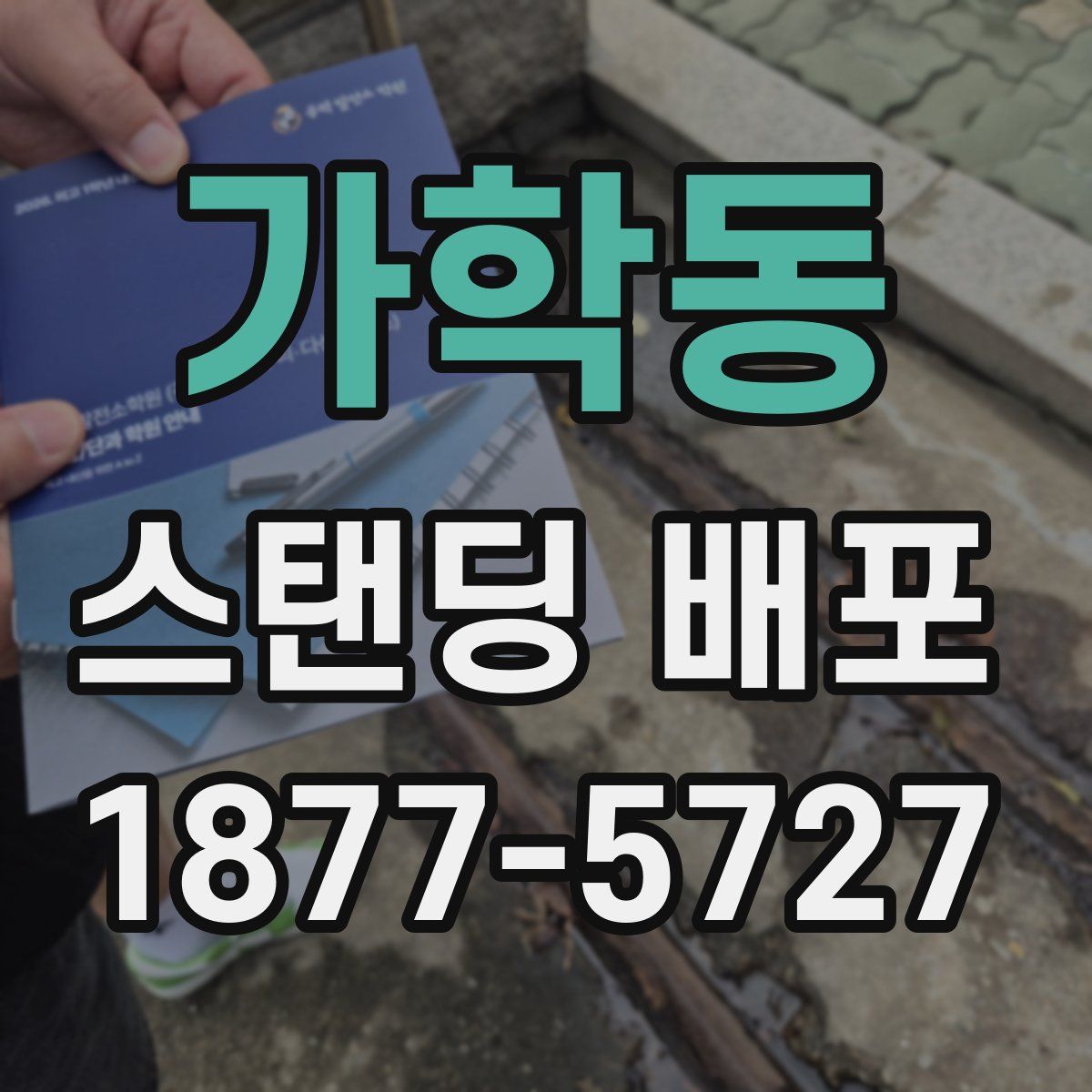 가학동 스탠딩 배포