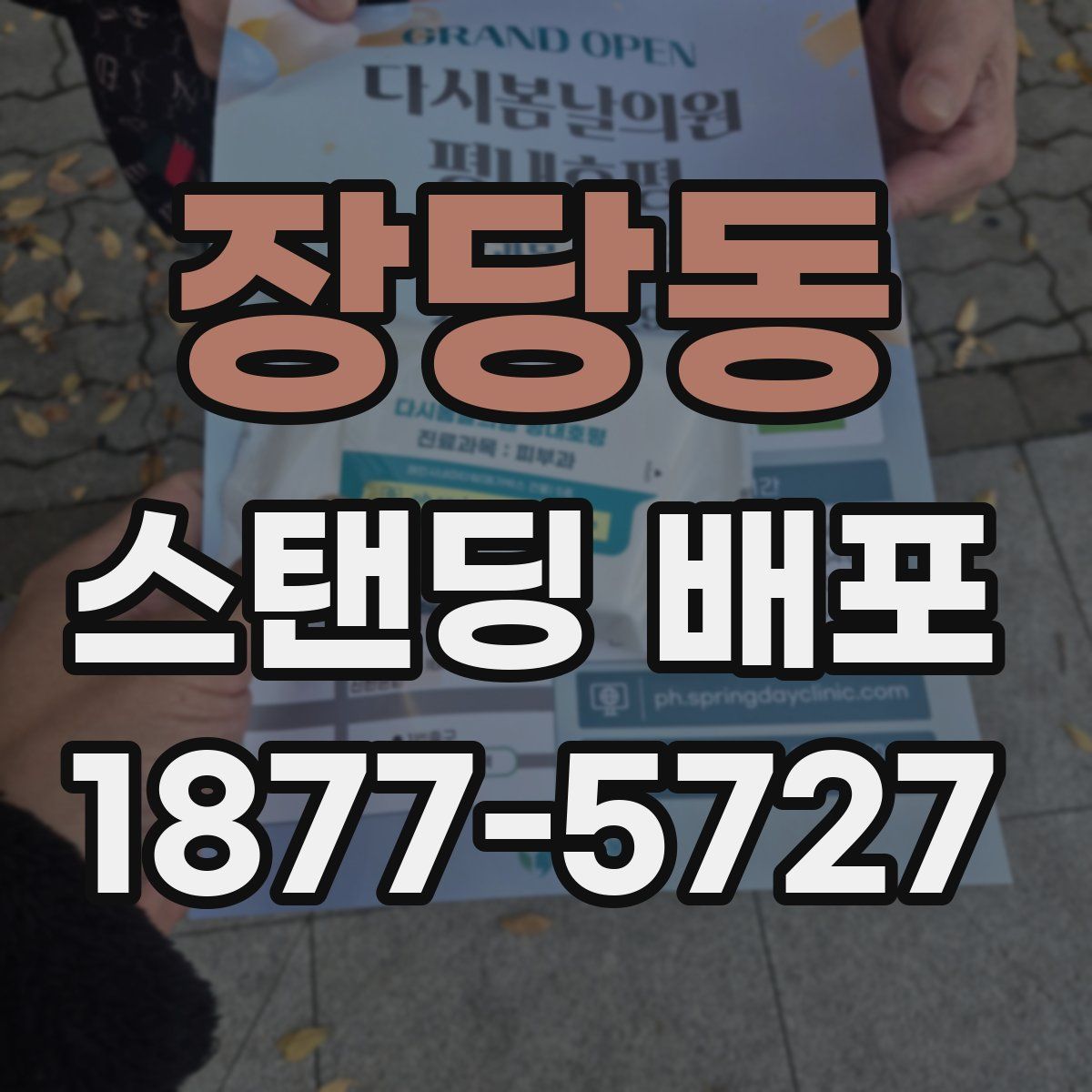 장당동 스탠딩 배포