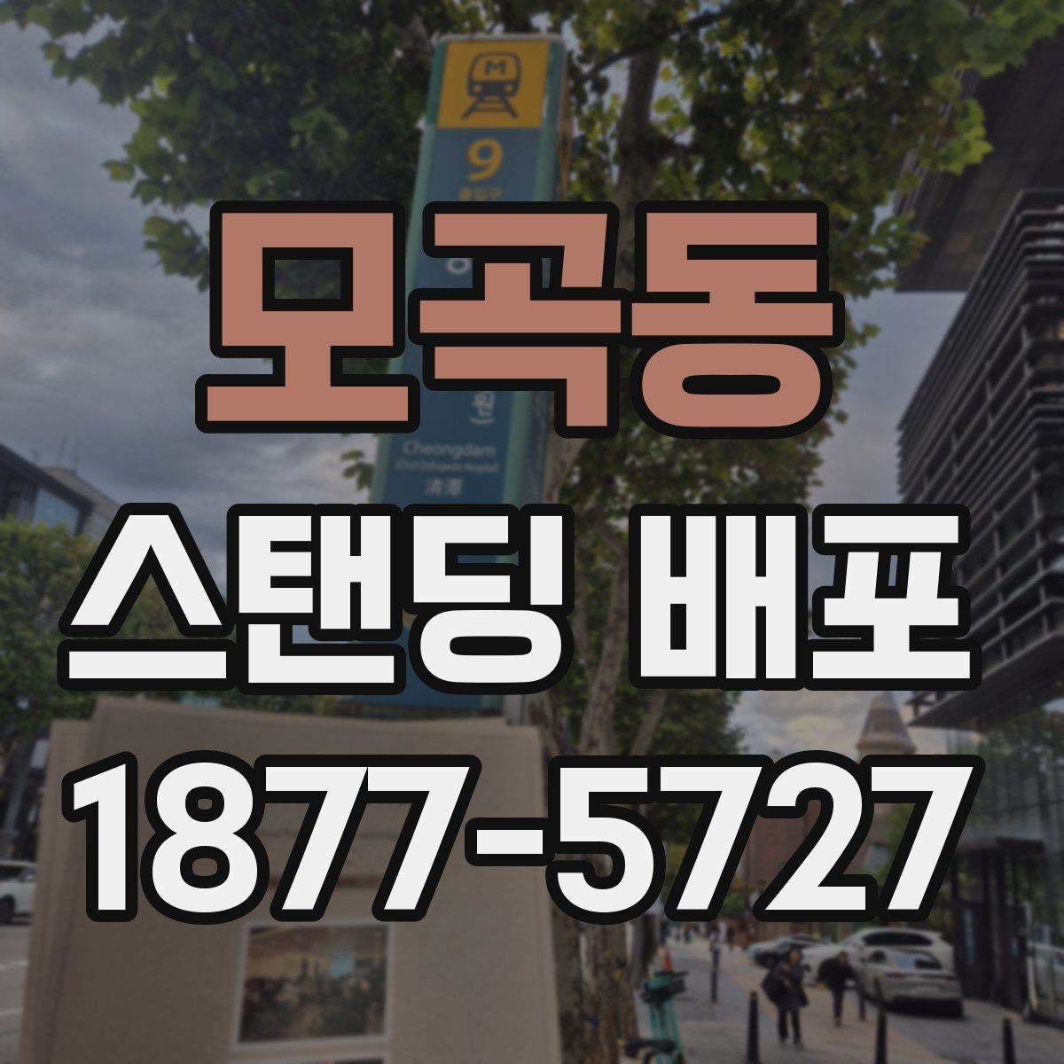 모곡동 스탠딩 배포
