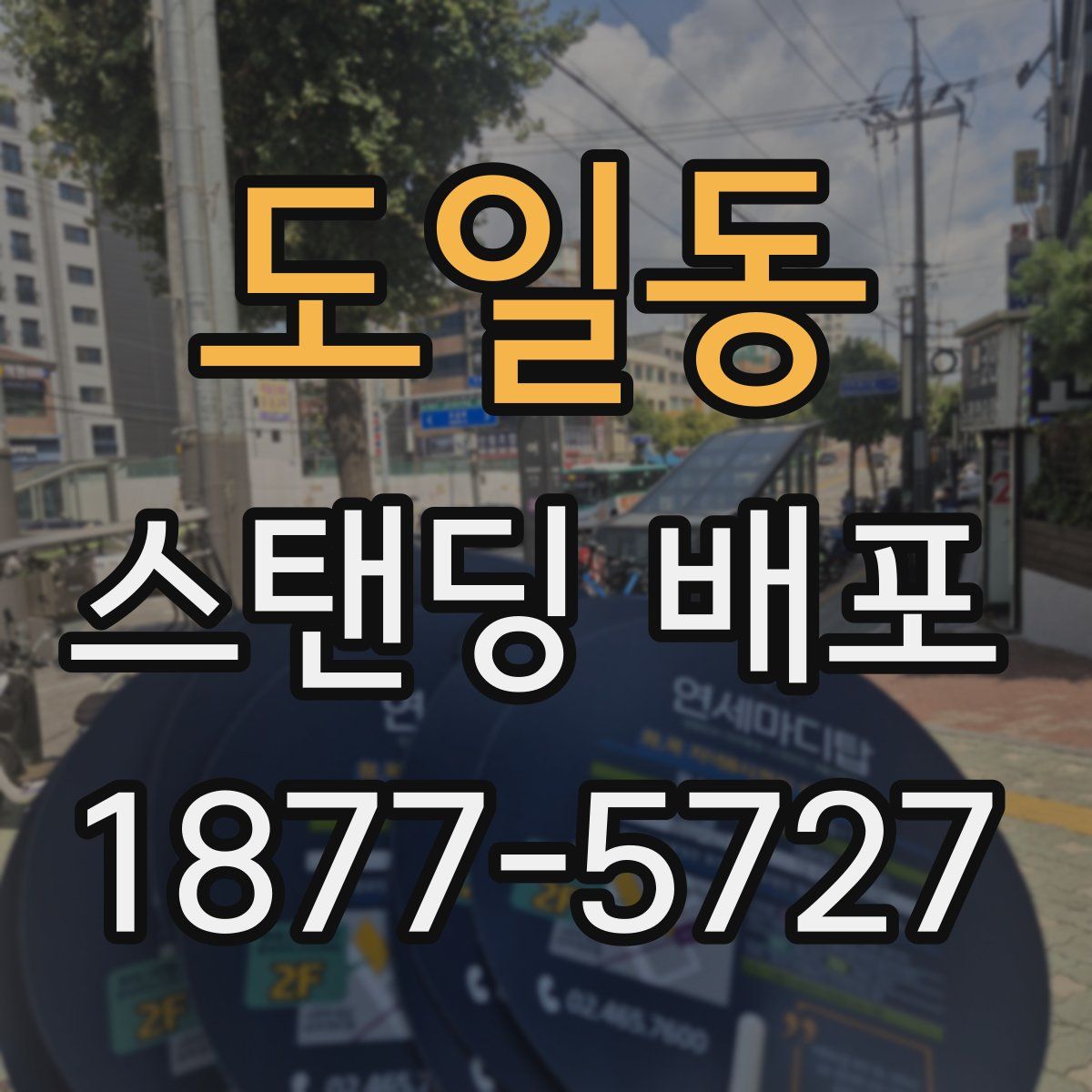 도일동 스탠딩 배포