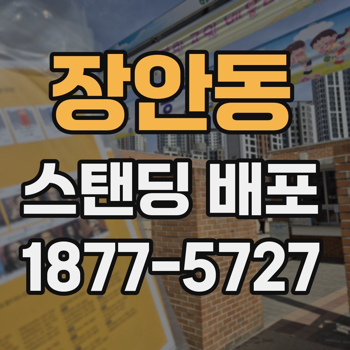 장안동 스탠딩 배포