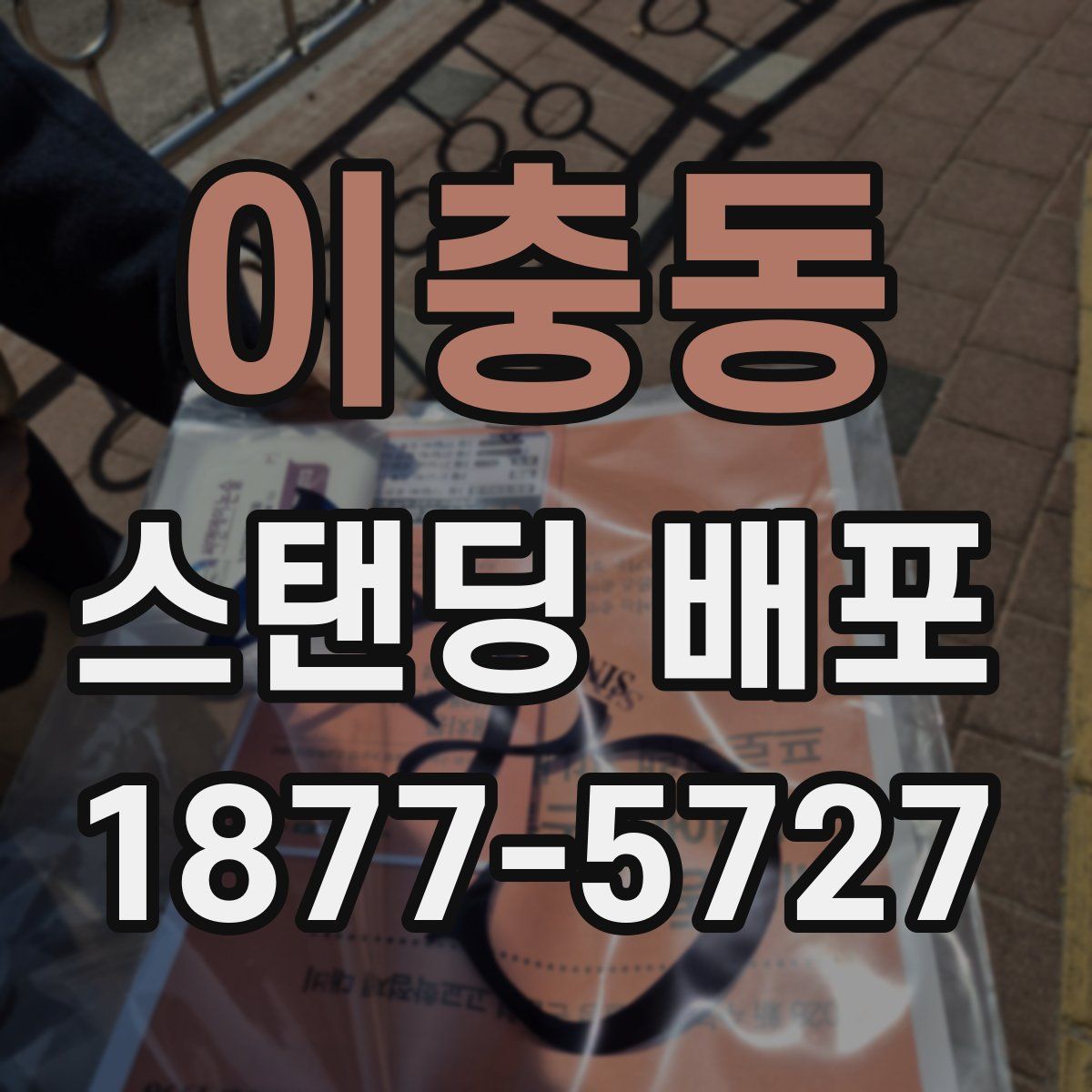 이충동 스탠딩 배포