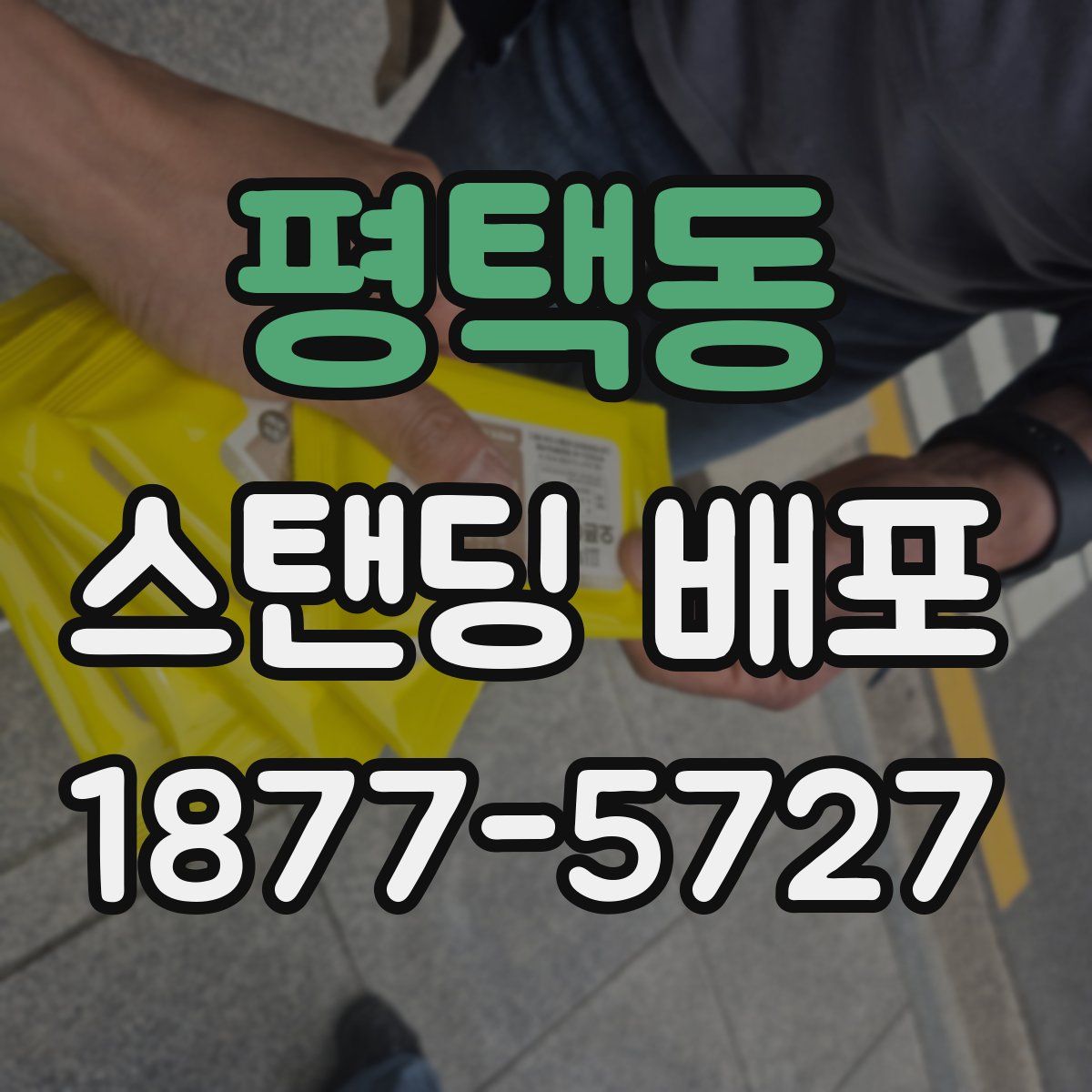 평택동 스탠딩 배포