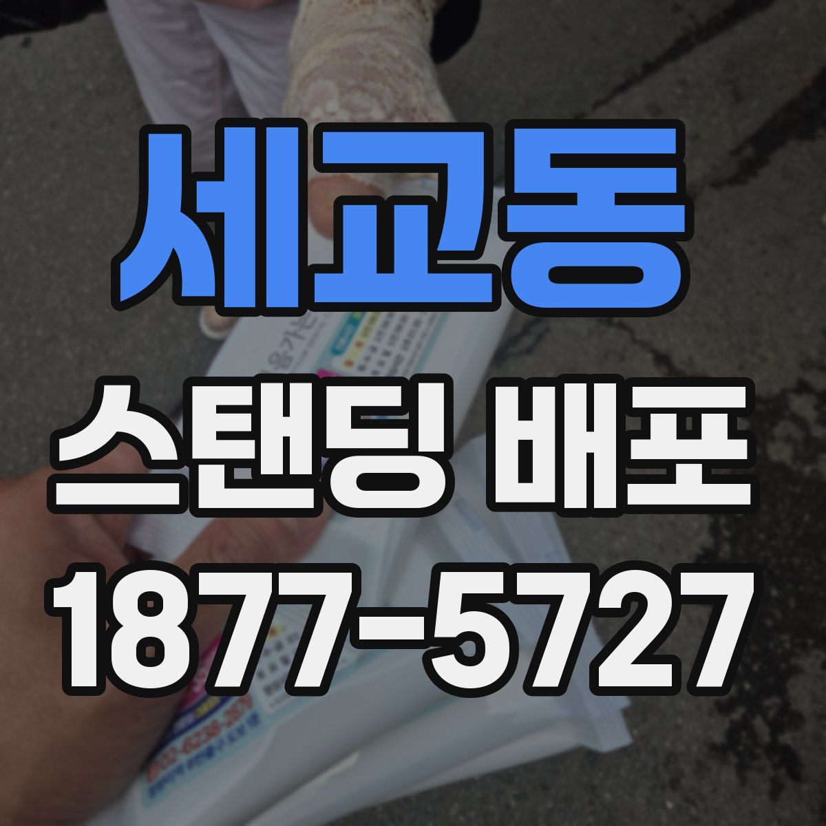 세교동 스탠딩 배포