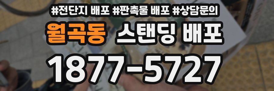 월곡동 스탠딩 배포