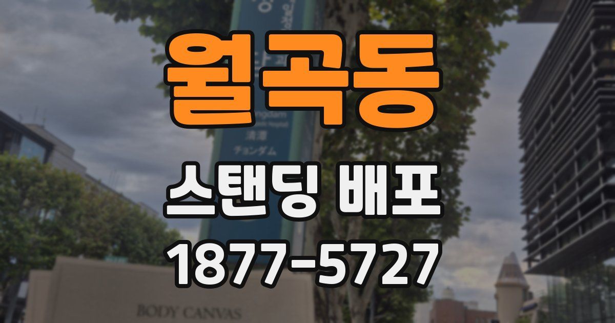 월곡동 스탠딩 배포