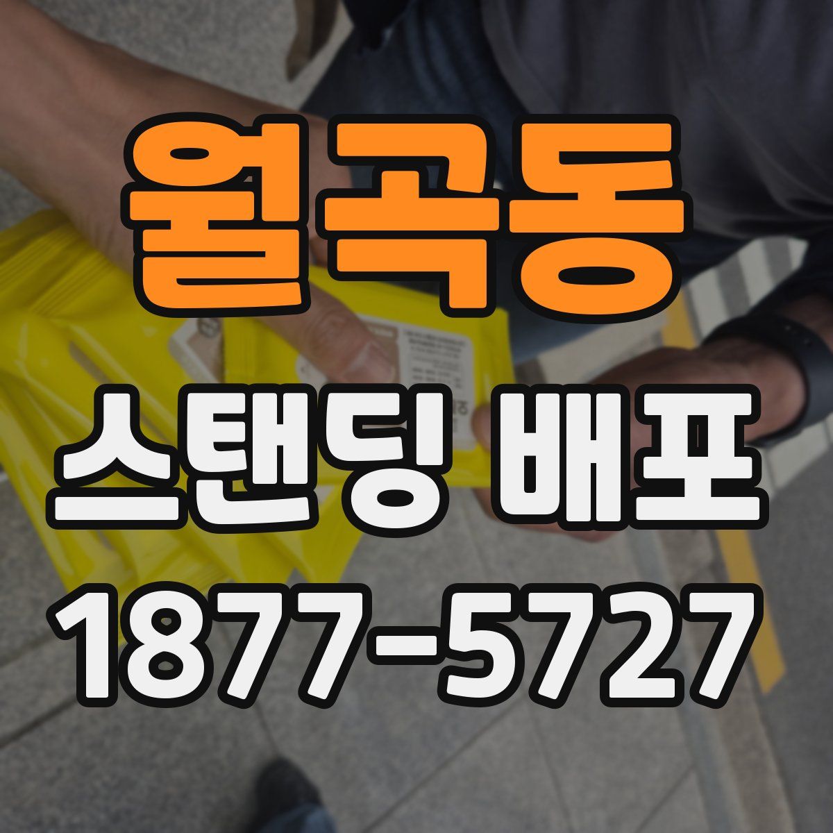 월곡동 스탠딩 배포