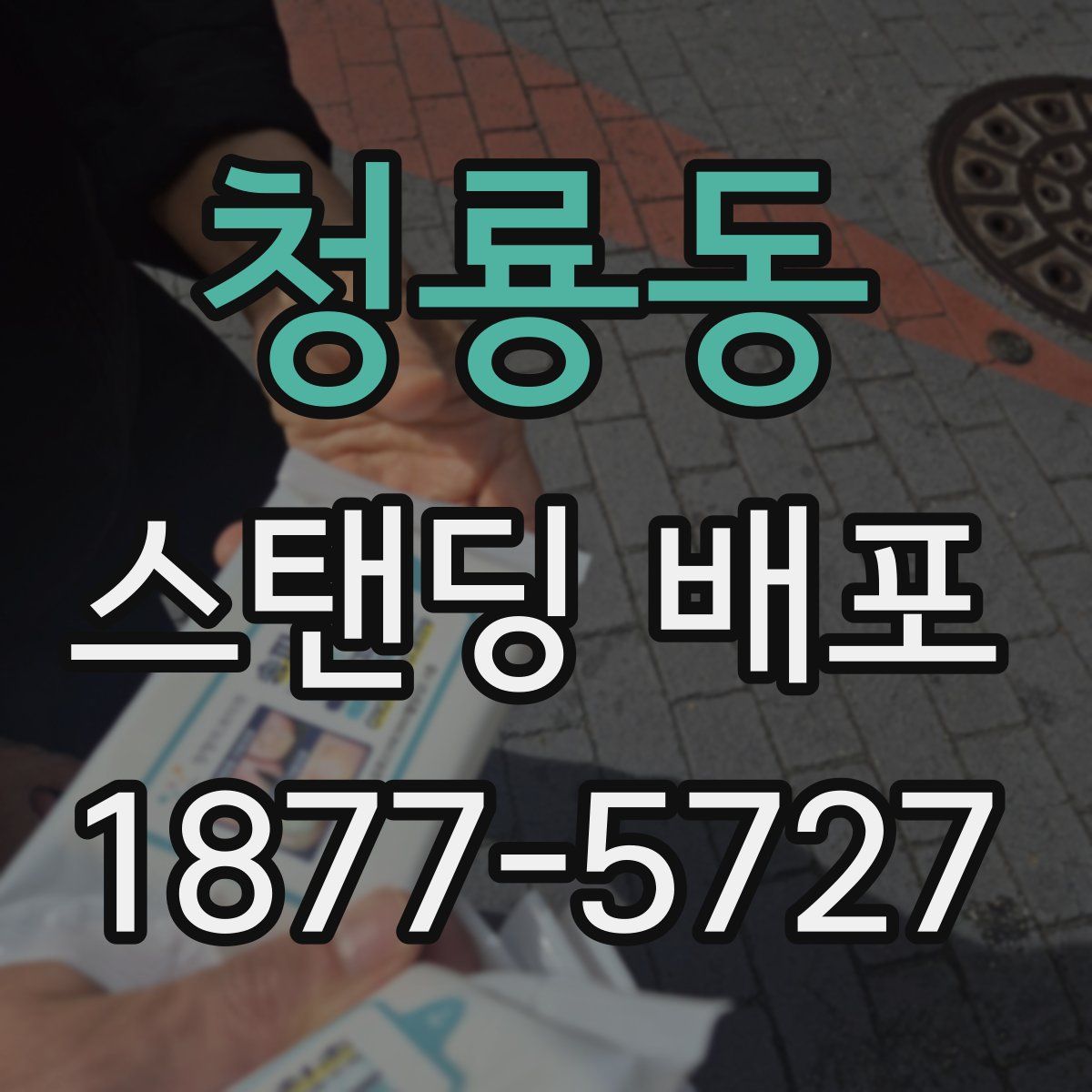 청룡동 스탠딩 배포