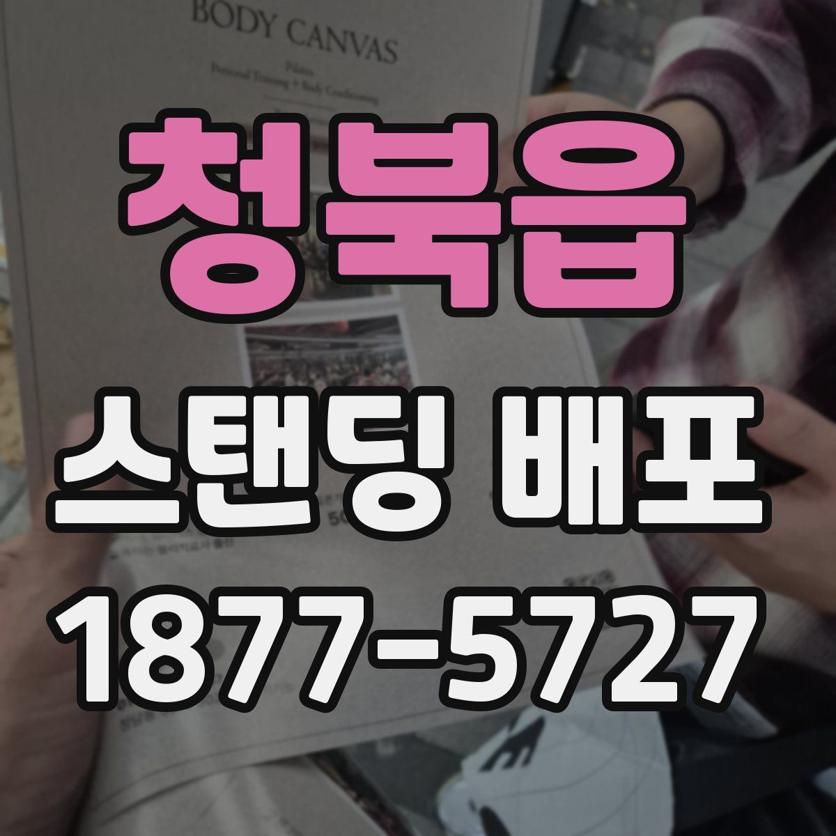 청북읍 스탠딩 배포