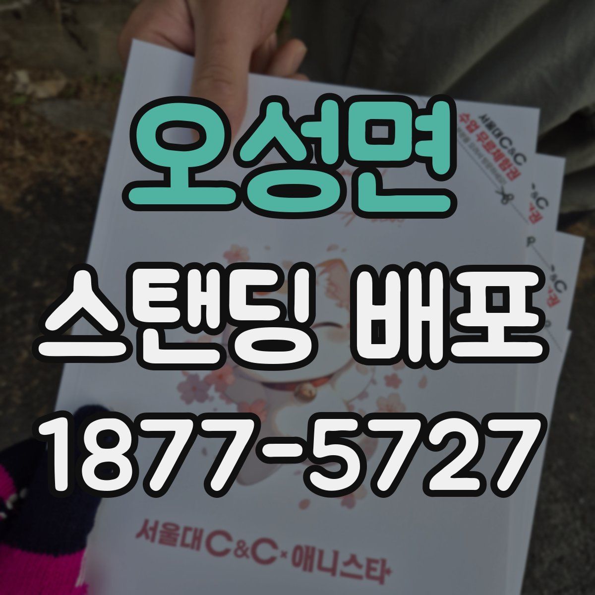 오성면 스탠딩 배포
