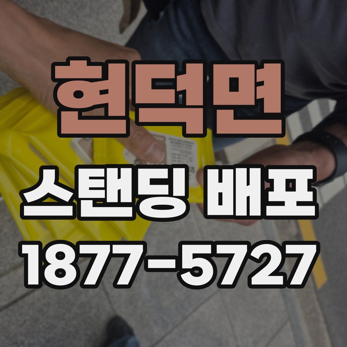 현덕면 스탠딩 배포
