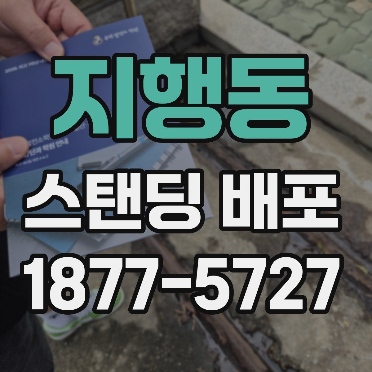 지행동 스탠딩 배포