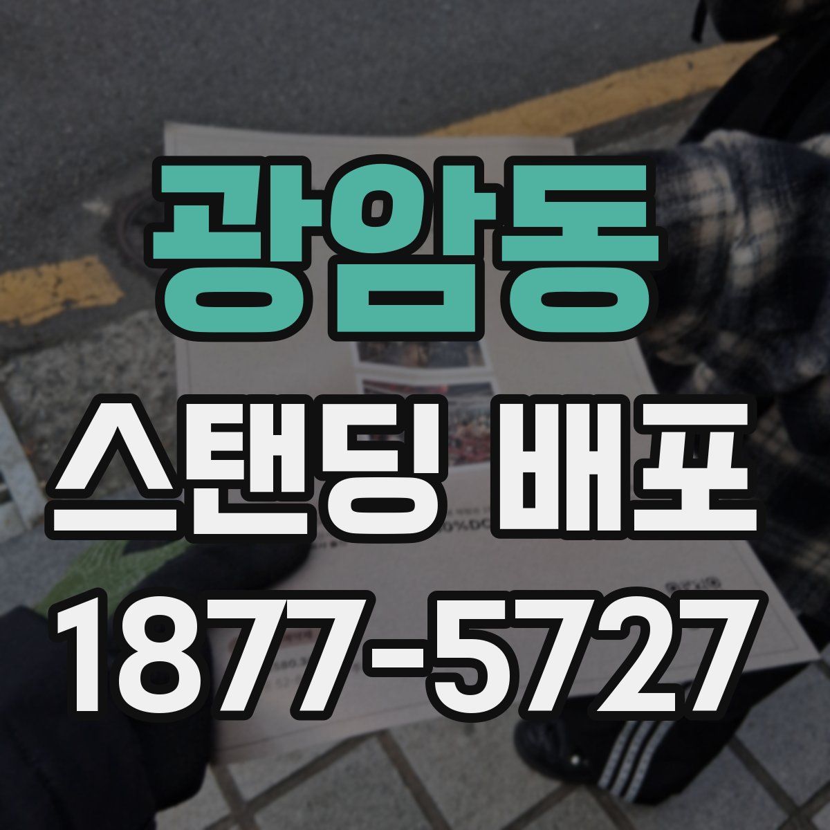 광암동 스탠딩 배포