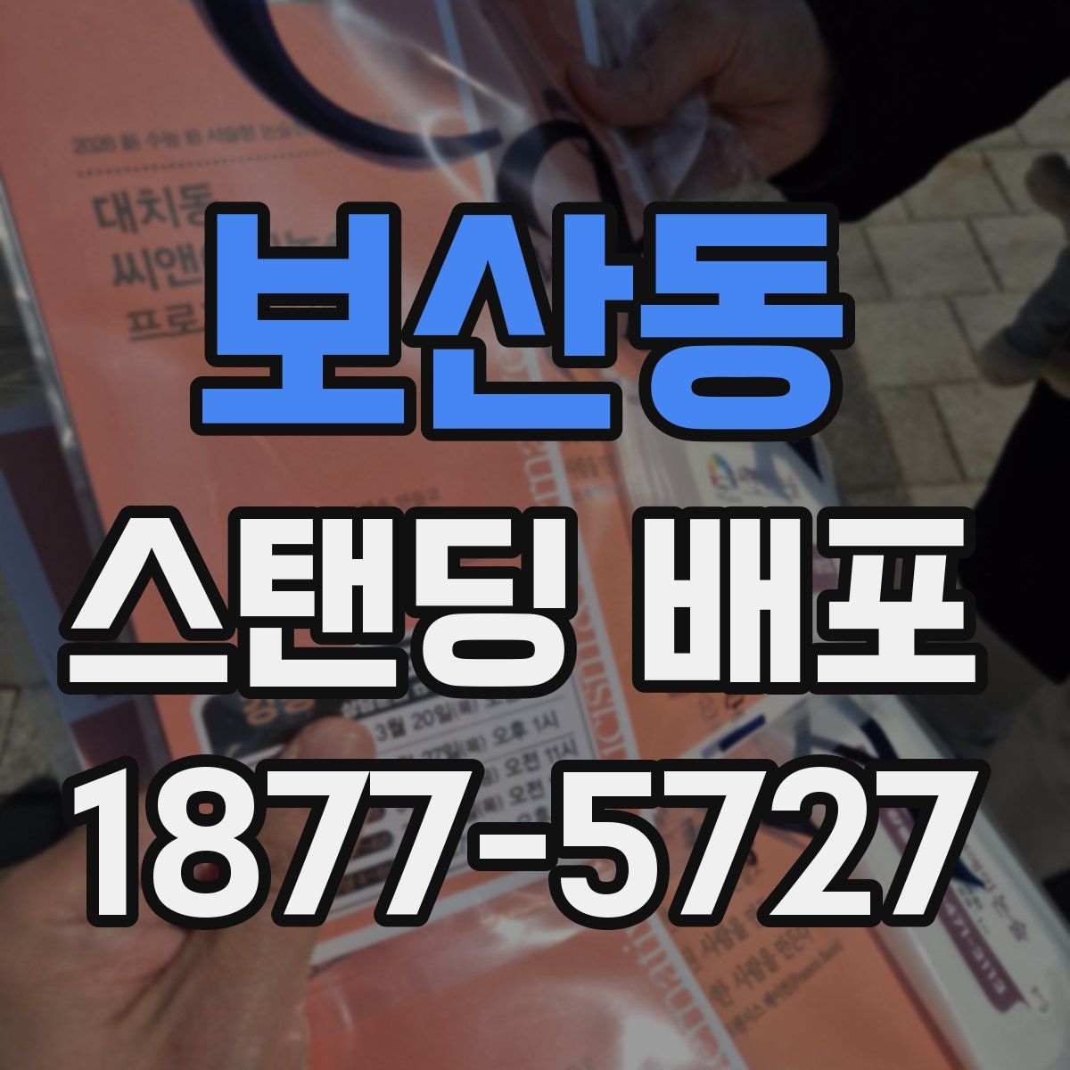 보산동 스탠딩 배포