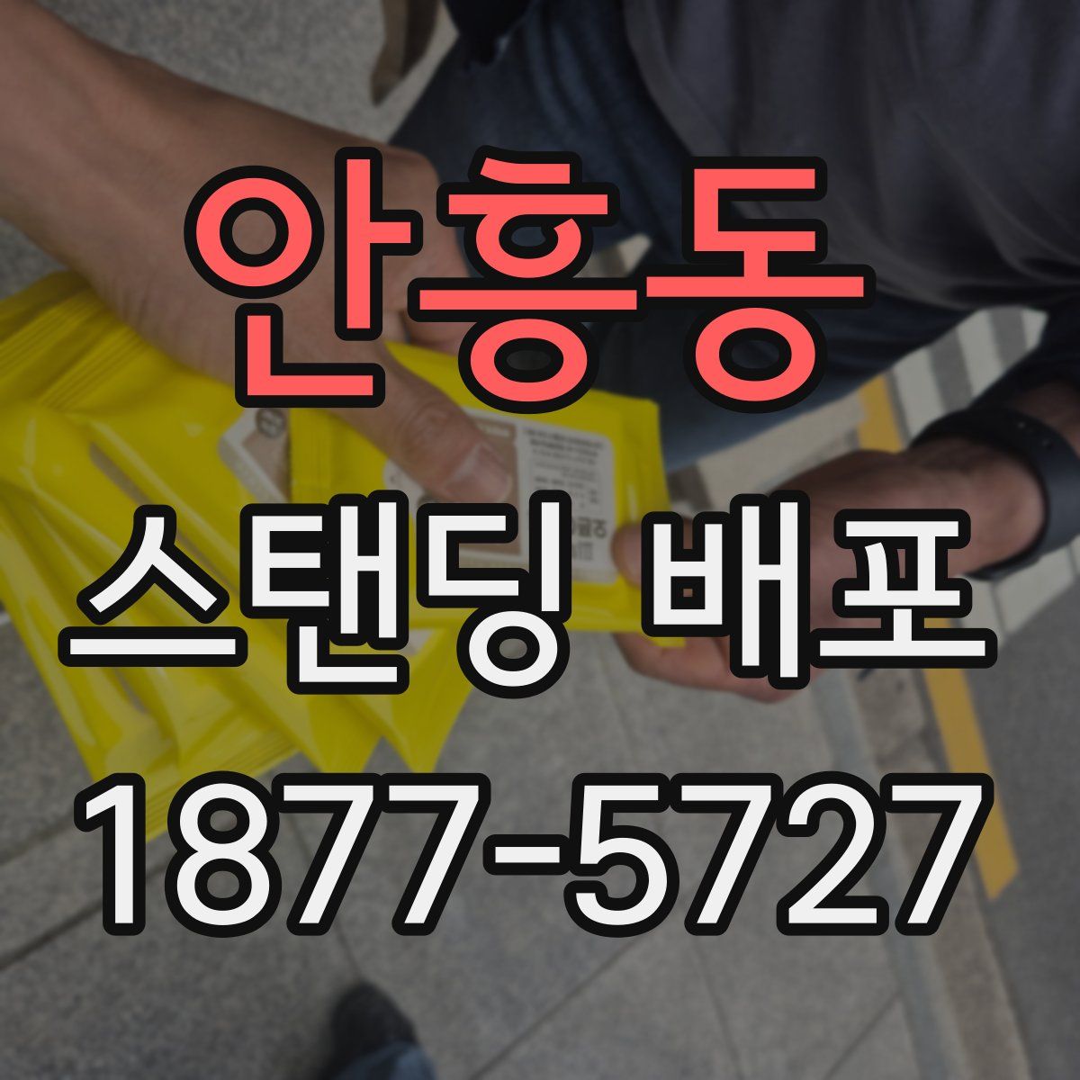 안흥동 스탠딩 배포