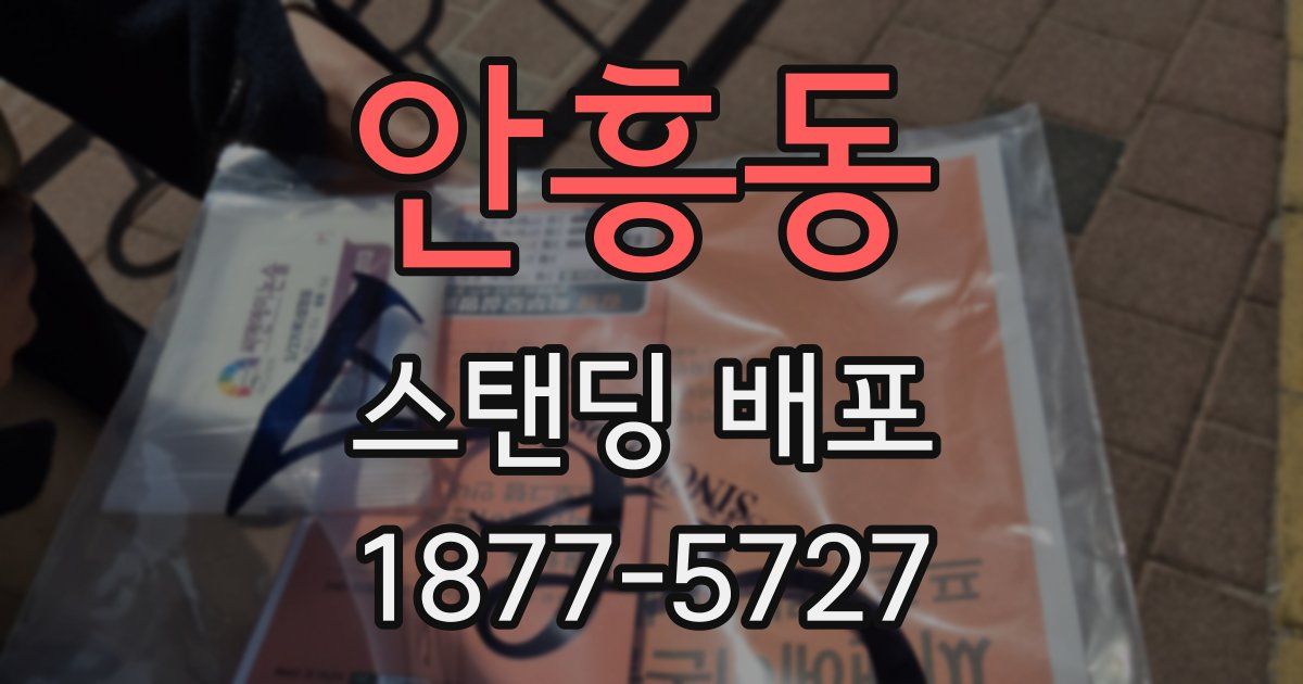 안흥동 스탠딩 배포