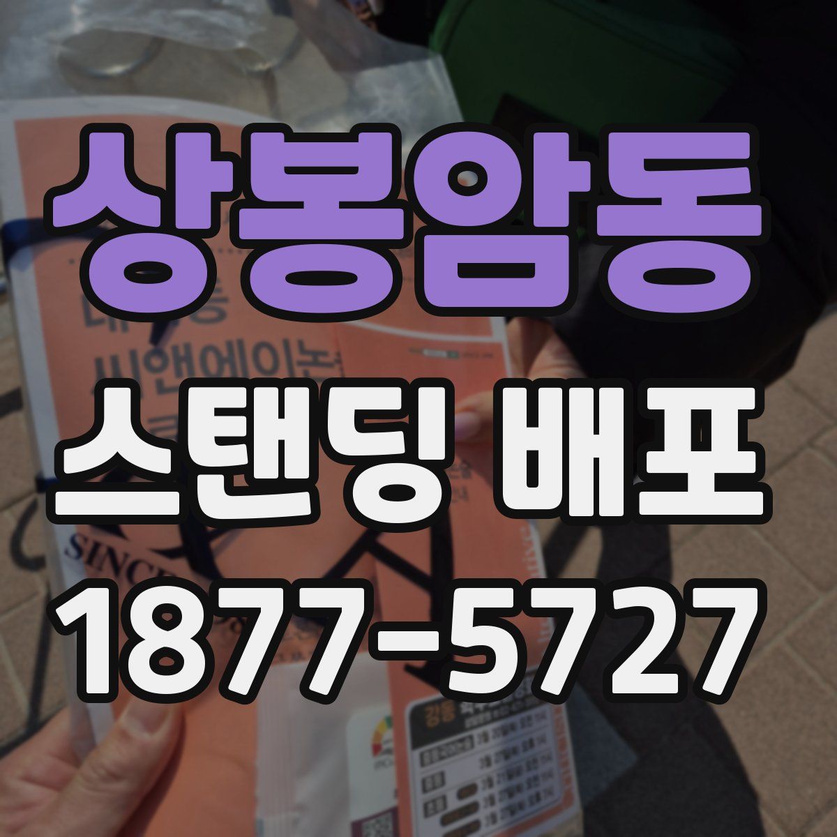 상봉암동 스탠딩 배포