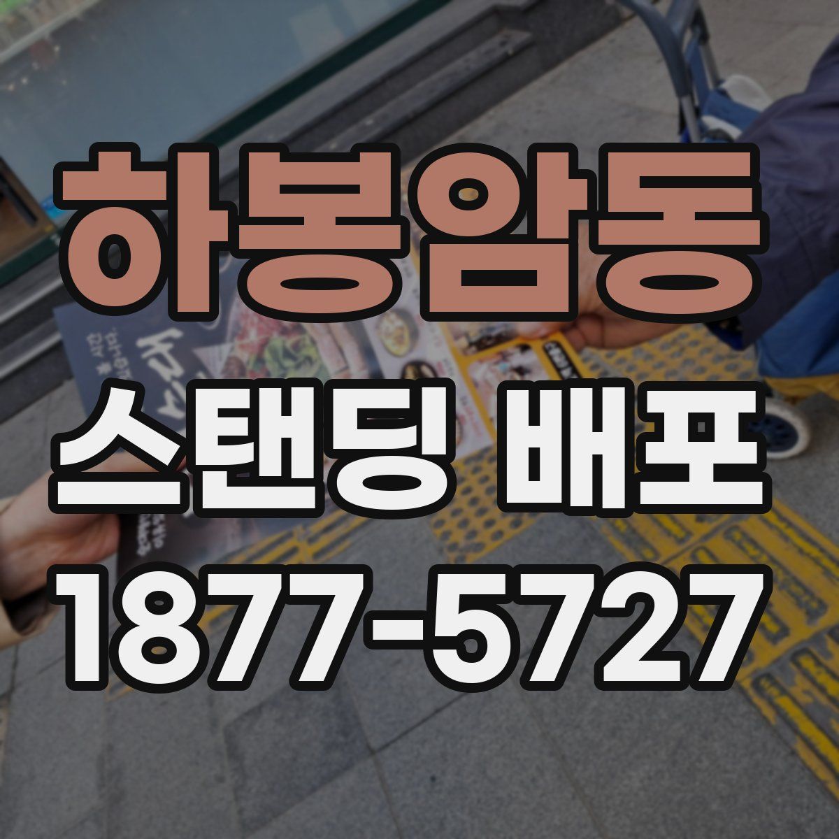 하봉암동 스탠딩 배포