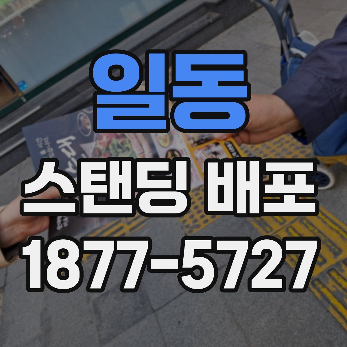 일동 스탠딩 배포