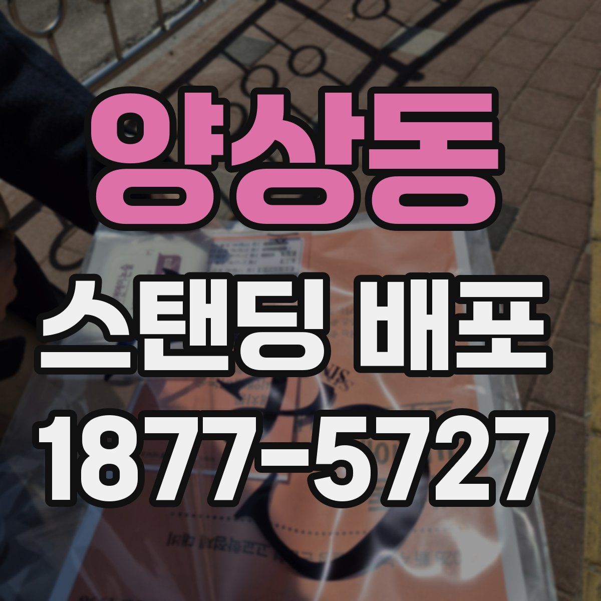 양상동 스탠딩 배포