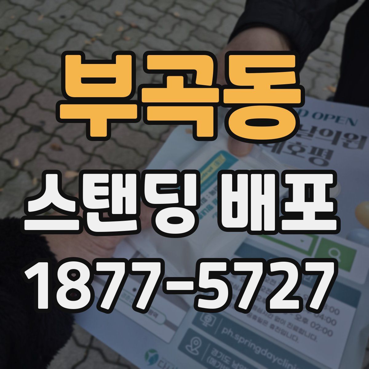부곡동 스탠딩 배포