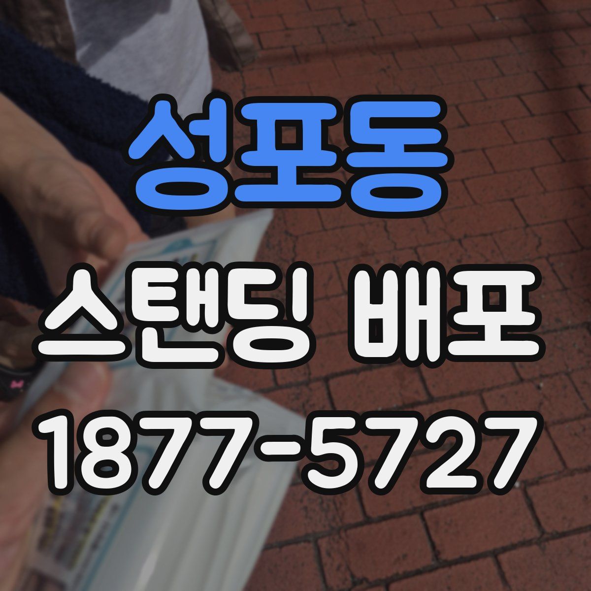 성포동 스탠딩 배포