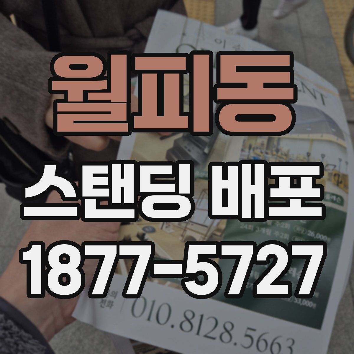 월피동 스탠딩 배포