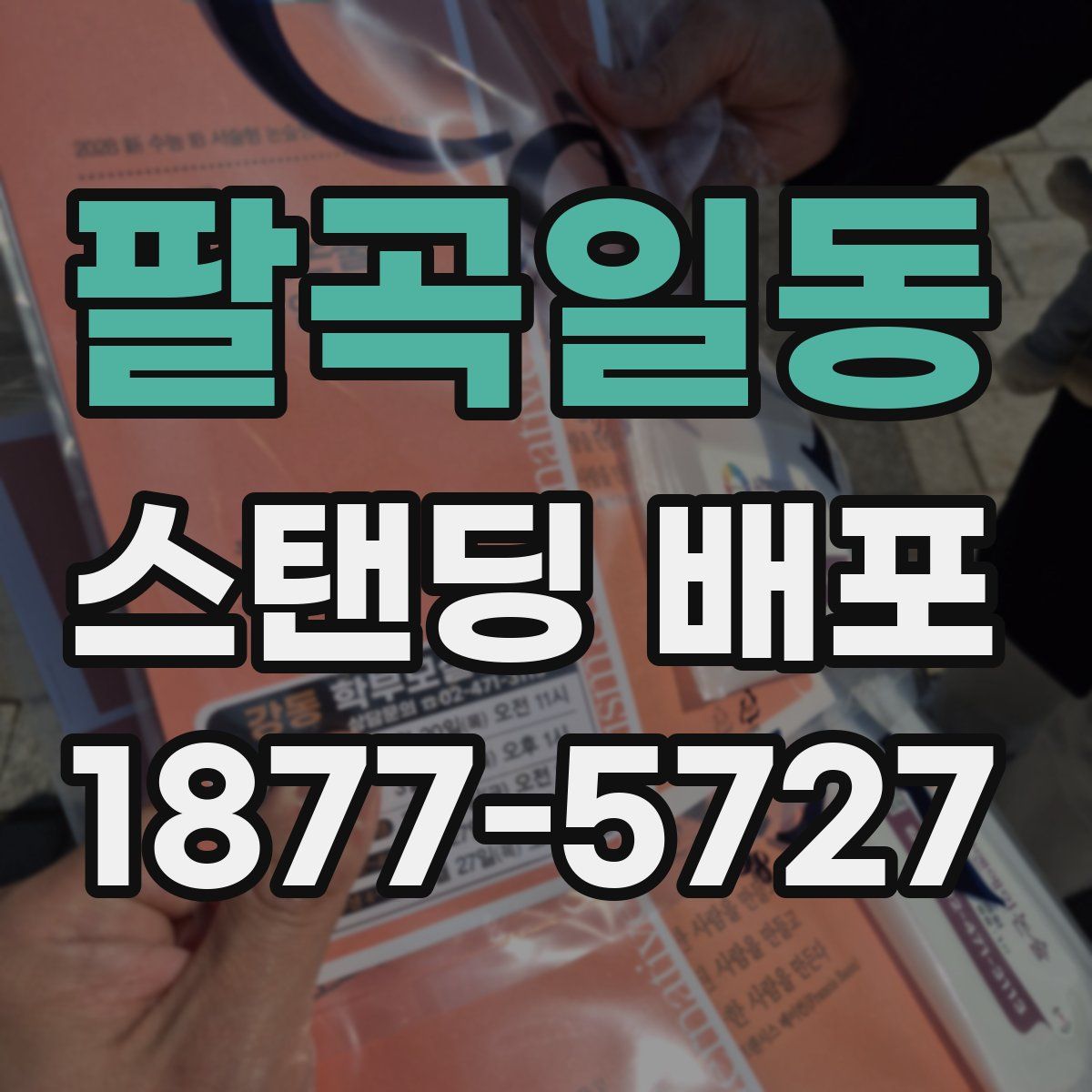 팔곡일동 스탠딩 배포