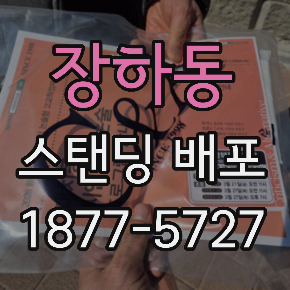 장하동 스탠딩 배포