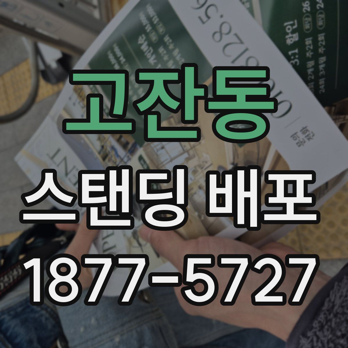 고잔동 스탠딩 배포