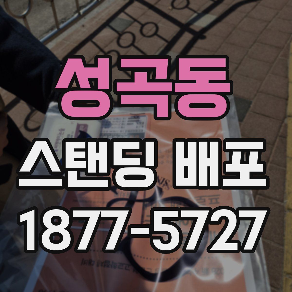성곡동 스탠딩 배포