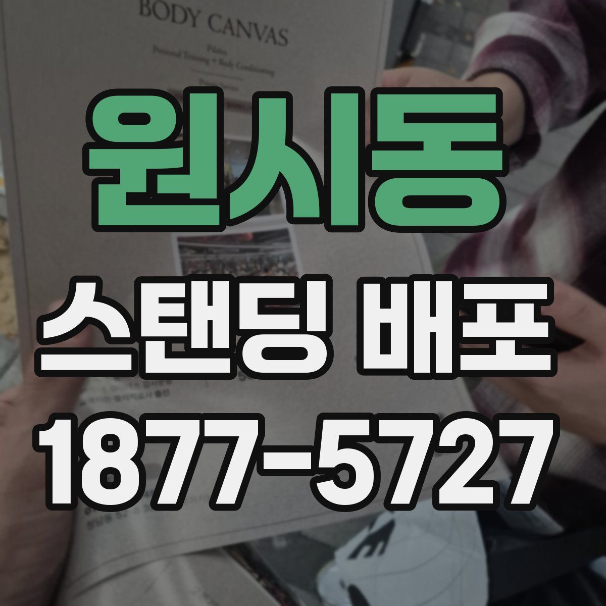 원시동 스탠딩 배포