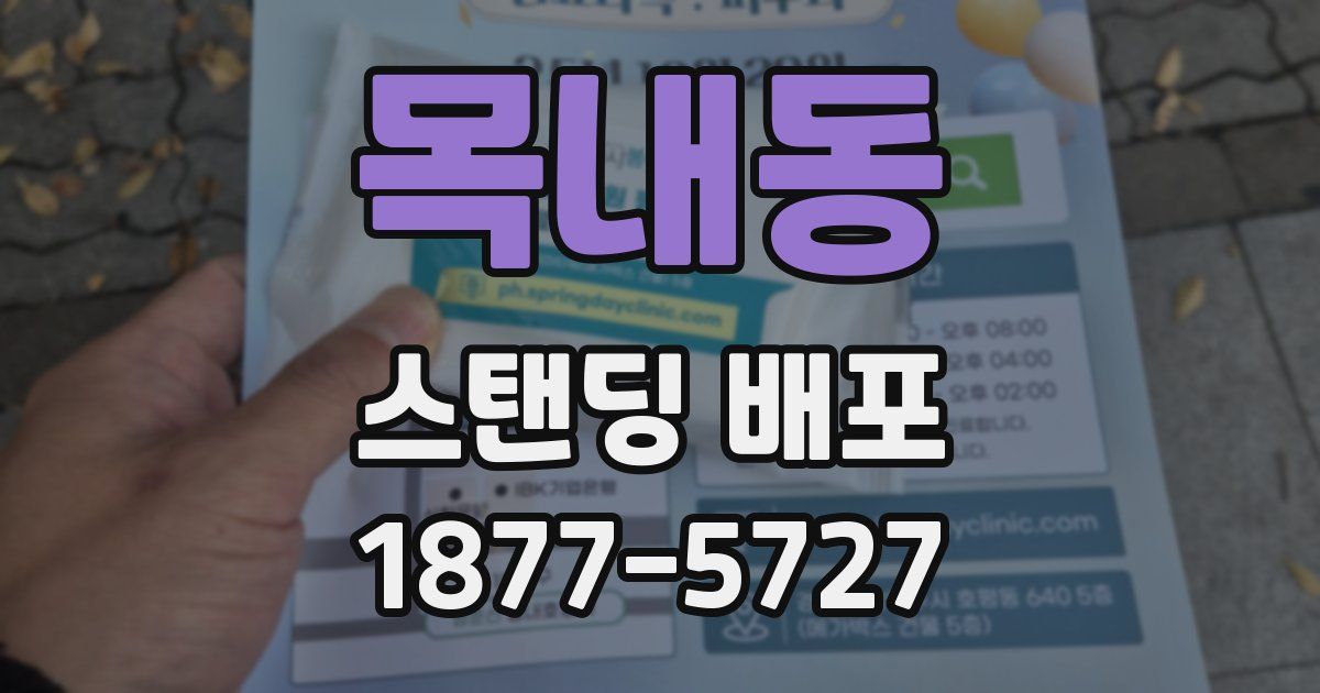 목내동 스탠딩 배포