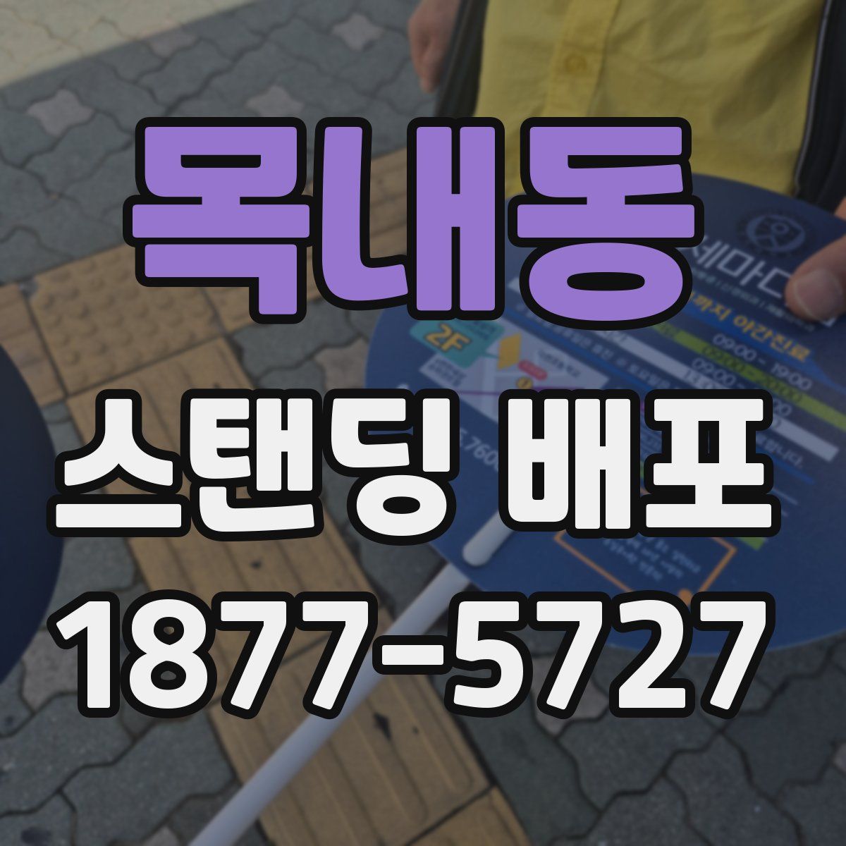 목내동 스탠딩 배포