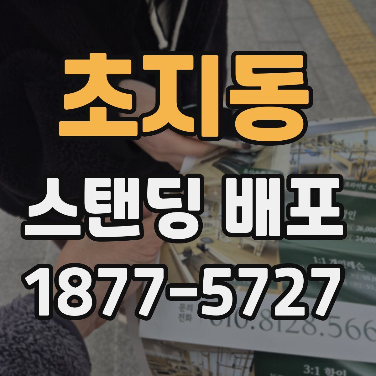 초지동 스탠딩 배포