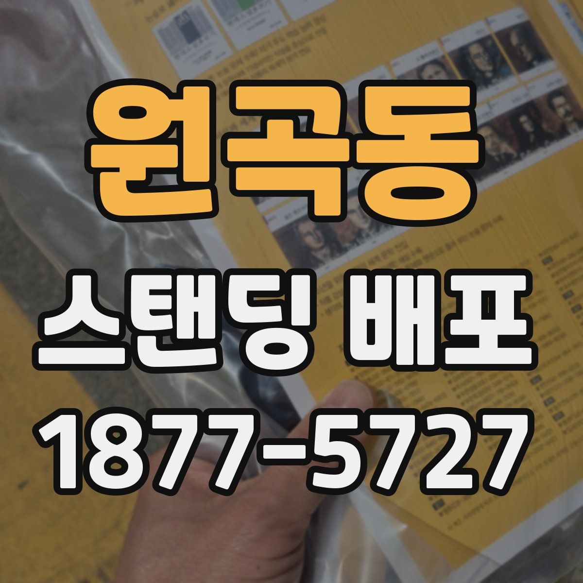원곡동 스탠딩 배포