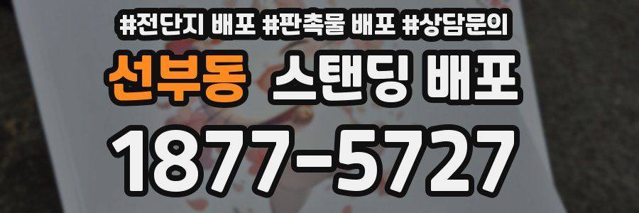 선부동 스탠딩 배포