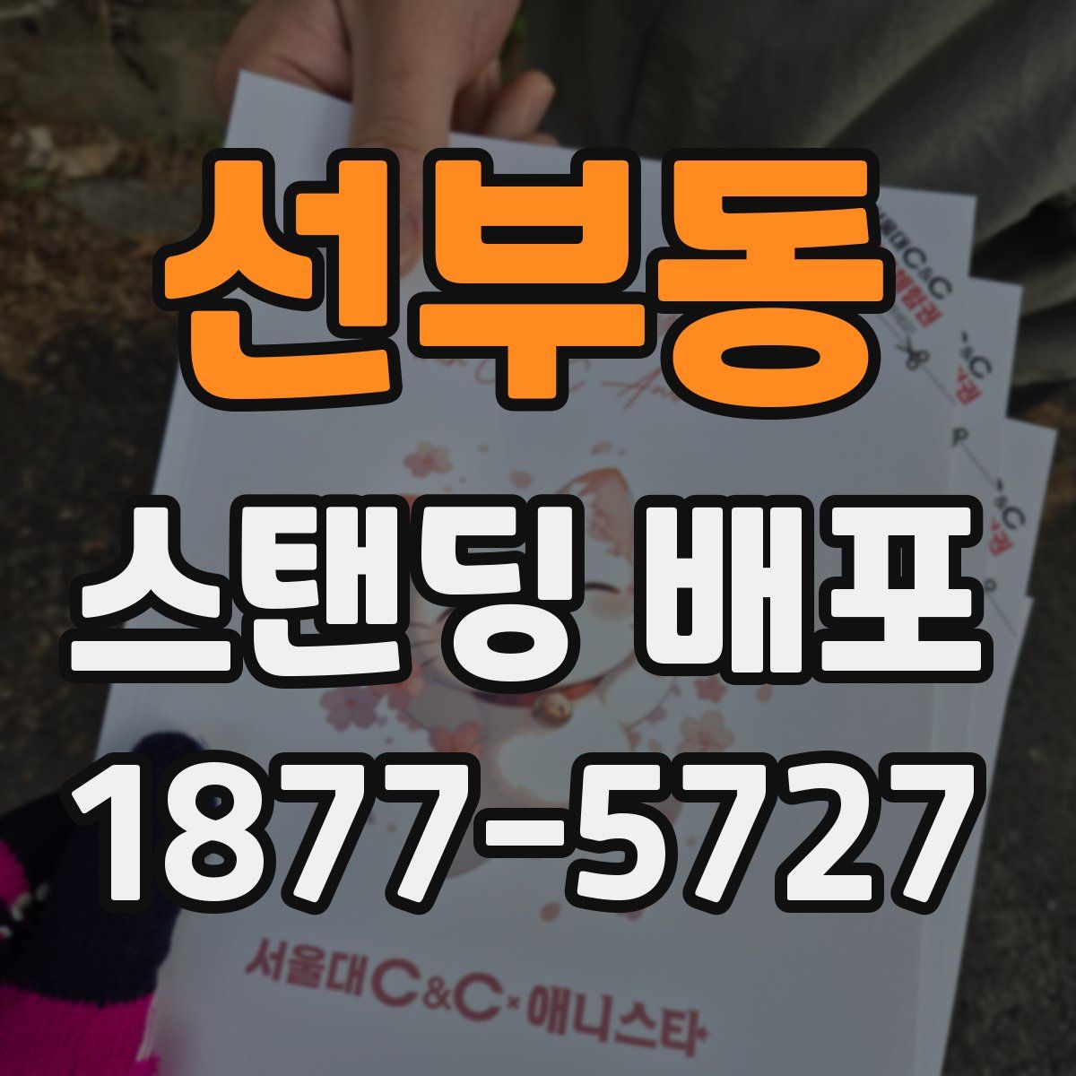 선부동 스탠딩 배포
