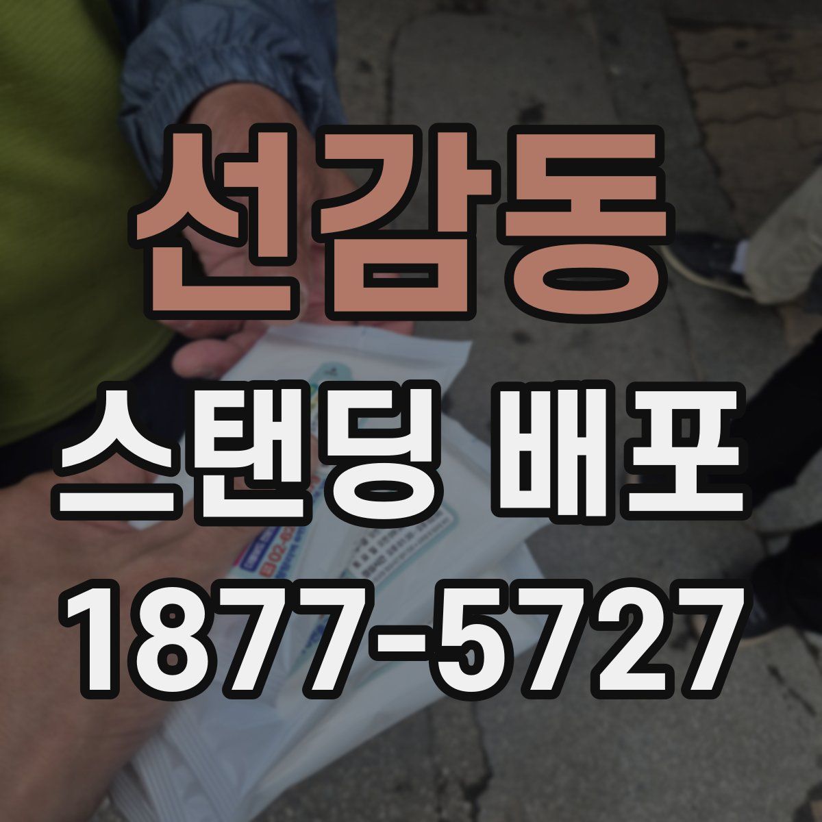 선감동 스탠딩 배포