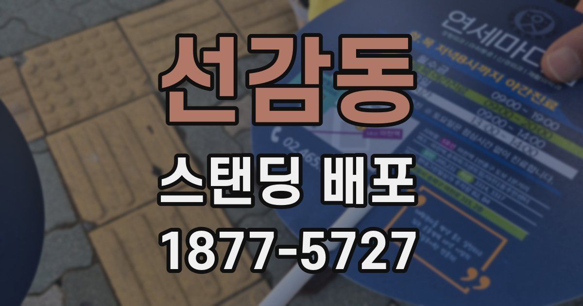 선감동 스탠딩 배포