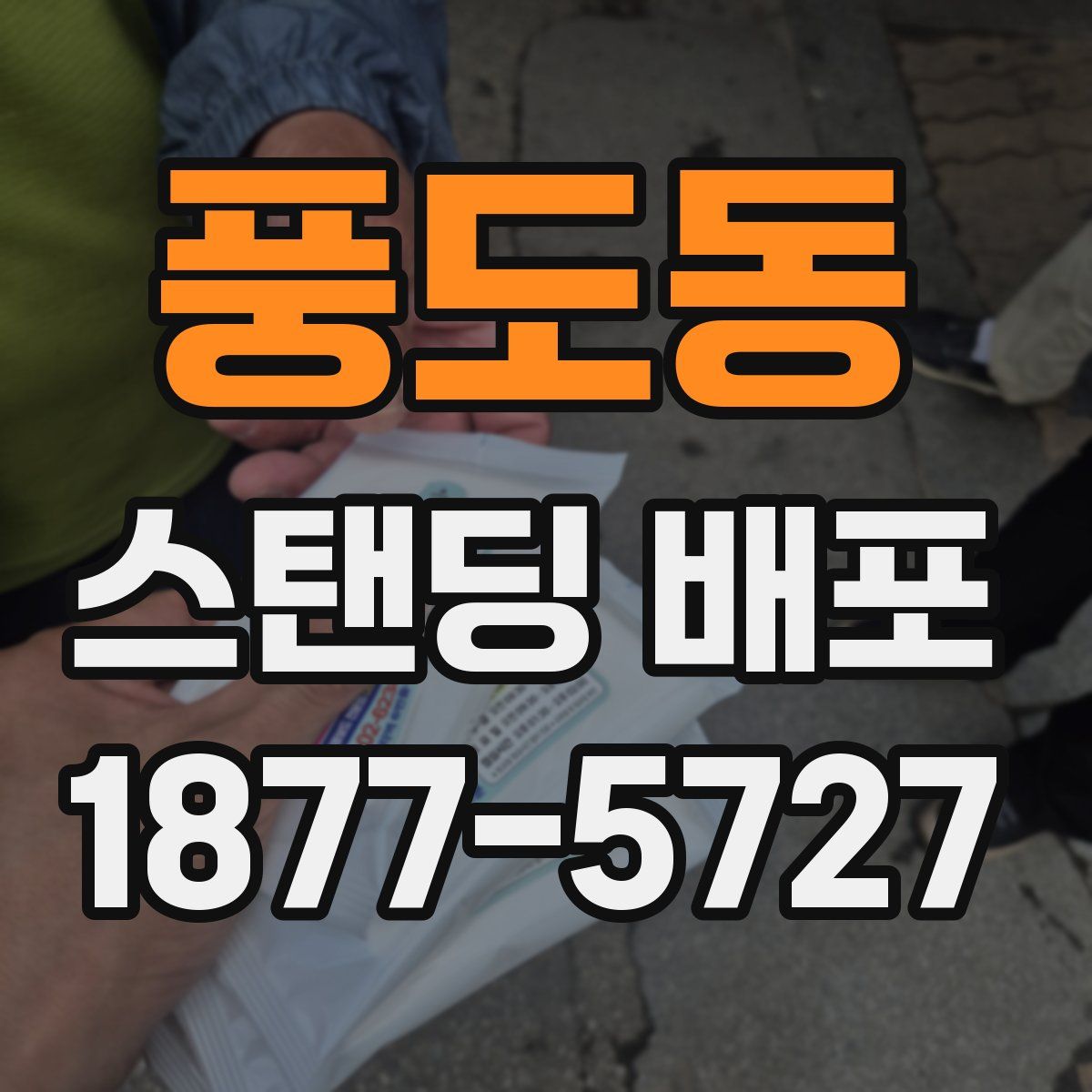 풍도동 스탠딩 배포
