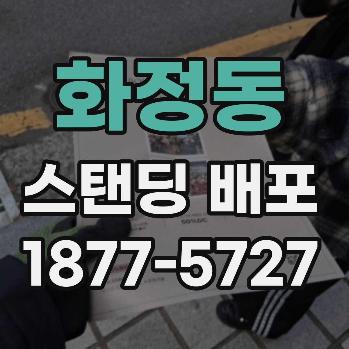 화정동 스탠딩 배포